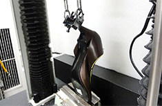 Heel adhesion strength test image